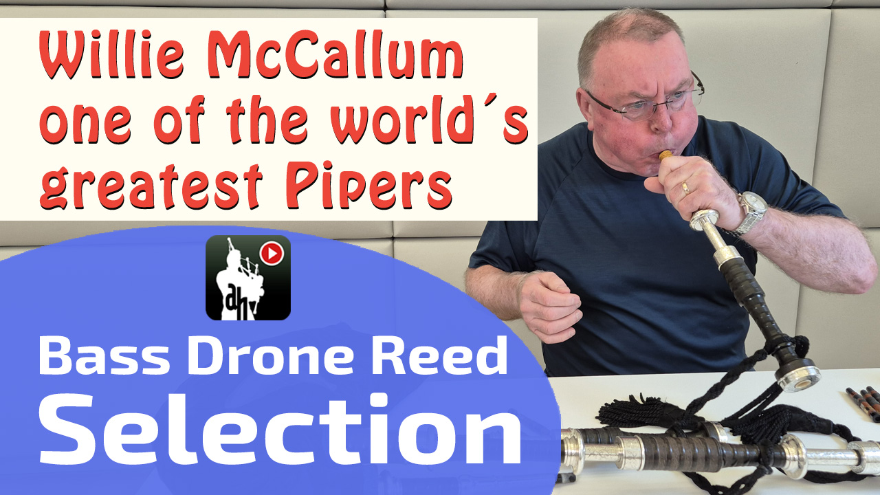 Willie McCallum Bass Drone Reed Selection